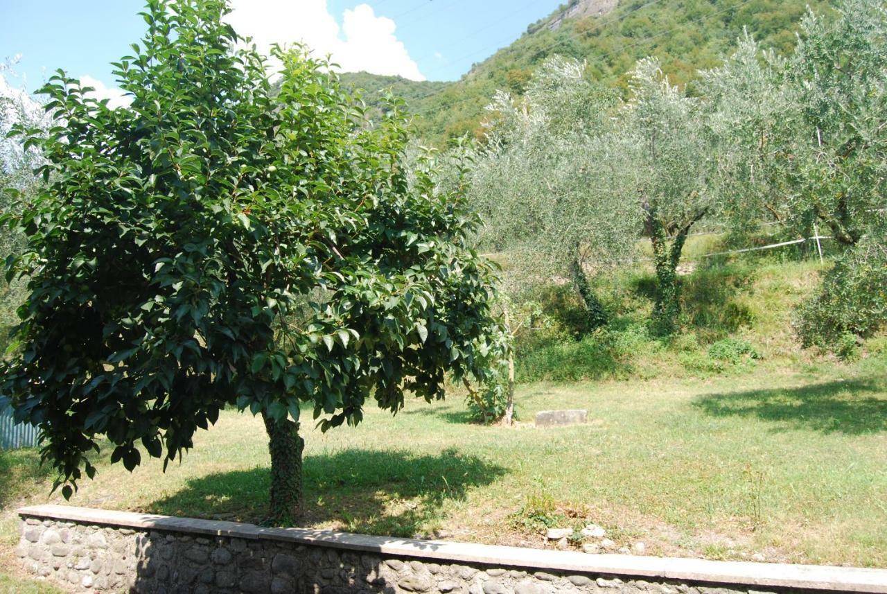 Agriturismo Cascina Bissiniga Salò Zewnętrze zdjęcie